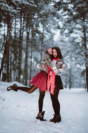 Two young teenage hipster girl friends together.Close up fashion portrait of two sisters hugs and having fun winter time,wearing sweater,best friends couple outdoors, snowy weatherの写真素材