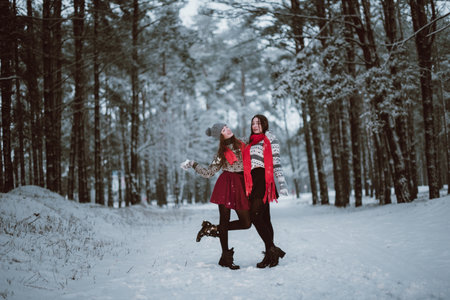 Two young teenage hipster girl friends together.Close up fashion portrait of two sisters hugs and having fun winter time,wearing sweater,best friends couple outdoors, snowy weatherの写真素材