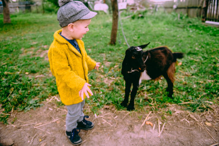Little farm boy feeding the chickens and the goat in the countrysideの写真素材