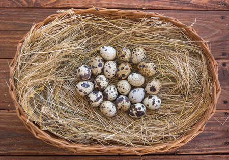 Quail eggs in the basketの写真素材