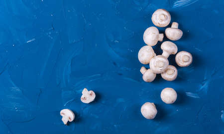 Group of raw fresh mushrooms on blue backgroundの写真素材