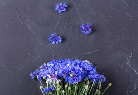 Bouquet of blue flowers on grey stone backgroundの写真素材