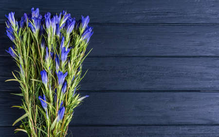 Bouquet of blue flowers on blue wooden backgroundの写真素材