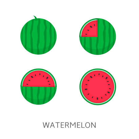 Watermelon icon set Vector illustration Vegan conceptのイラスト素材