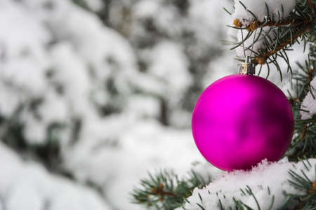 Pink Christmas tree ball on a snow-covered tree branch winter holidays and decoration conceptの写真素材