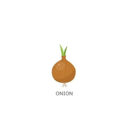 Onion. Yellow onion with green sprout isolated Vector illustrationのイラスト素材