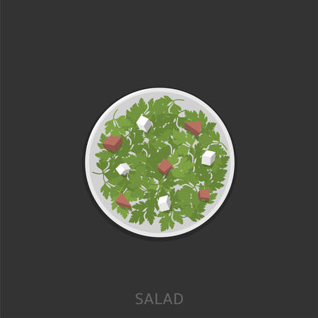 Salad. Green salad with cheese and sausages in the white plate Vector illustrationのイラスト素材
