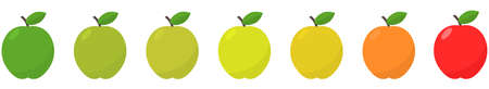 Apple fruit set. Green red yellow apples, Vector illustrationのイラスト素材