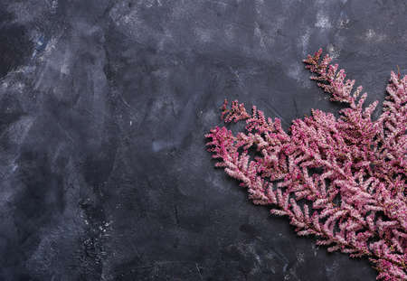 Abstract Grunge Decorative Dark Grey Wall Background with branches of tamarix on it. Gloomy Rough Smear Textureの写真素材