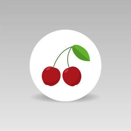 Sweet Cherry round vector icon Vegetarian conceptのイラスト素材
