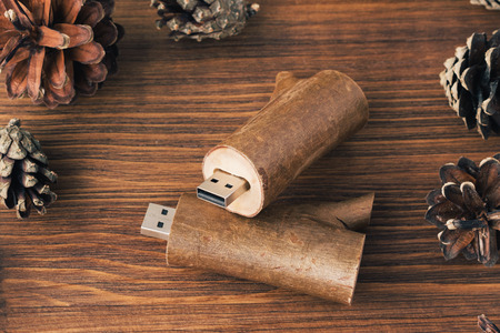Creative wooden usb stick like a branch on dark wooden background. Two wooden usb-stick for photographer with fir cone on dark wooden backgroundの写真素材