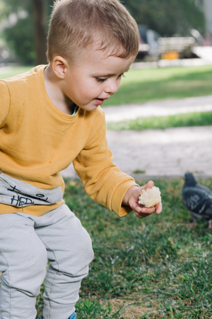 Boy feeds pigeons. Cute little blond boy catching and playing with pigeons in a parkの写真素材