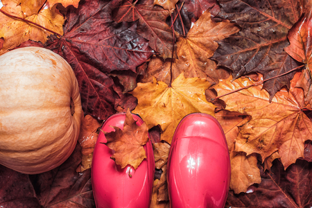 Pink gumboots on fallen leaves background. Rubber boots, pumpkin and maple yellow and red leaves. Vintage toned photoの写真素材