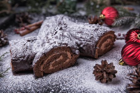 Chocolate yule log christmas cake. Traditional French Christmas dessert with Mocha cream. Fir-tree branches, cones and berries, powdered sugarの写真素材