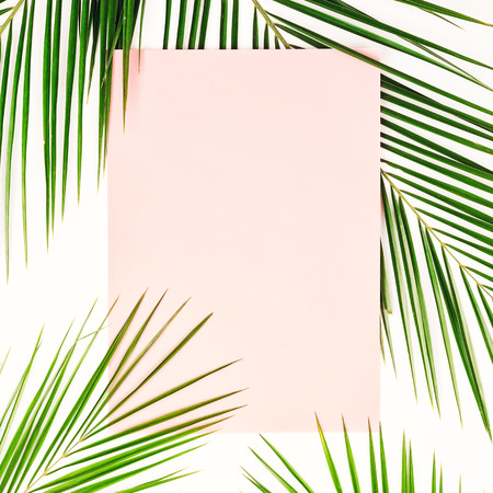Palm branches on white background. Pink sheet of paper. Flat lay, top viewの写真素材