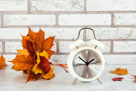 Autumn brik background with yellow and red maple leaves,  alarm clock. Tree trunk slice cut with...