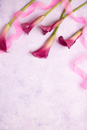 Pink Calla Lily on a marbleの写真素材