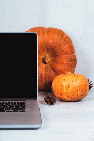 Orange pumpkins and red candles near a laptop computer on a table. Autumn season timeの写真素材