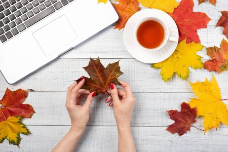 Workspace with red and yellow maple leaves, laptop, cup of tea. Top view of cozy office wooden desk. Autumn background, flat lay.の写真素材