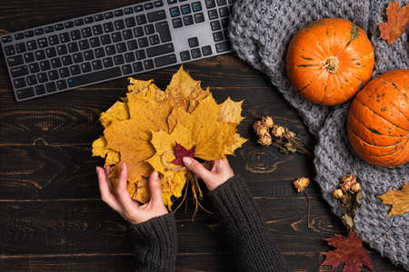 Female hands typing laptop on workspace with yellow and red maple leaves and pumpkin on dark wooden background. Flat lay, top view. Desktop with autumn decorの写真素材