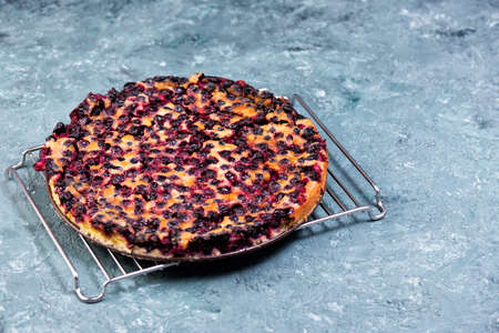 Traditional french pie clafouti with black currants cherries.
