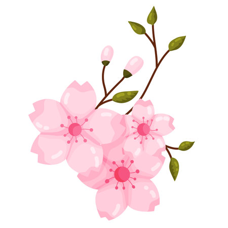 A charming illustration of a delicate cluster of pink cherry blossoms or sakura, complete with unopened buds and fresh green leaves on a graceful brown branch. This beautiful floral element captures the essence of spring. Ideal for cards invitations web graphics or decorative printsのイラスト素材