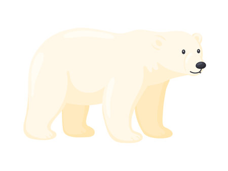 Adult Polar Bear Walking Isolated Illustrationのイラスト素材