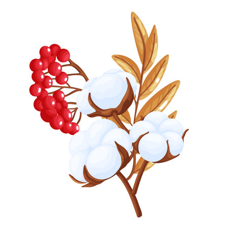 Rowan Berries, Cotton and Autumn Leavesのイラスト素材
