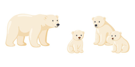 Cute Polar Bear Family Arctic Animals Setのイラスト素材