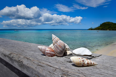 Seashells lie on the wooden pier with the sea, sky and island backgroundの写真素材