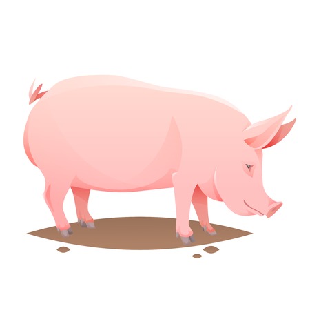 Pink farm pig on white background. Vector Illustrationのイラスト素材