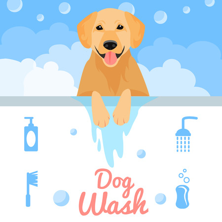 Dog washing in bath in flat style. Vector illustrationのイラスト素材