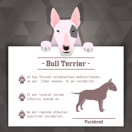 bull terrier breed dog banner with text. Vector Illustrationのイラスト素材