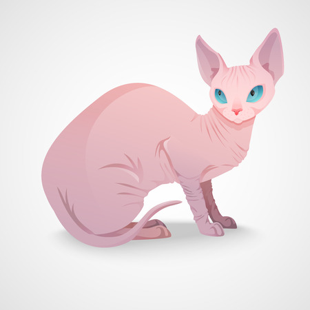 Elegant luxury Sphynx cat sitting. Vector illustrationのイラスト素材