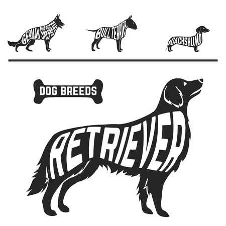 Set of different dog breeds silhouettes isolated black on white backgroundのイラスト素材