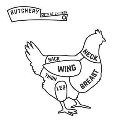 Cuts of chicken butcher diagramのイラスト素材
