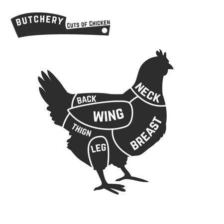 Cuts of chicken butcher diagram illustrationのイラスト素材