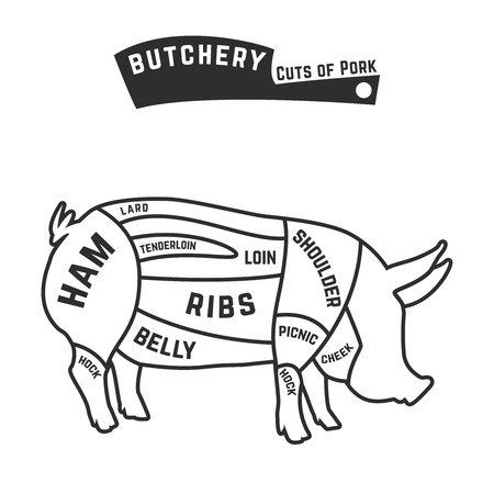 Cuts of pork outline . Vector Illustrationのイラスト素材