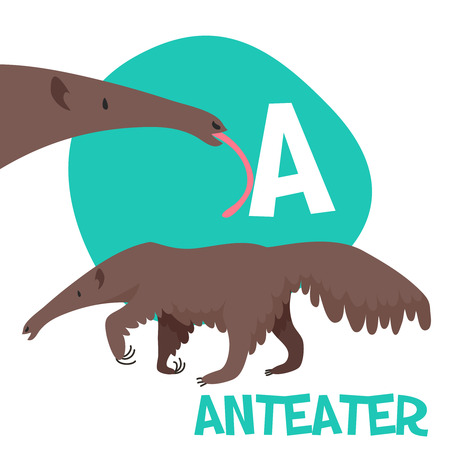 Funny cartoon animals vector alphabet letter set for kids  A is anteater. Vector illustrationのイラスト素材