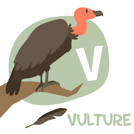 Funny cartoon animals vector alphabet letter for kids from A to Z. V is Vulture. Vector illustrationのイラスト素材