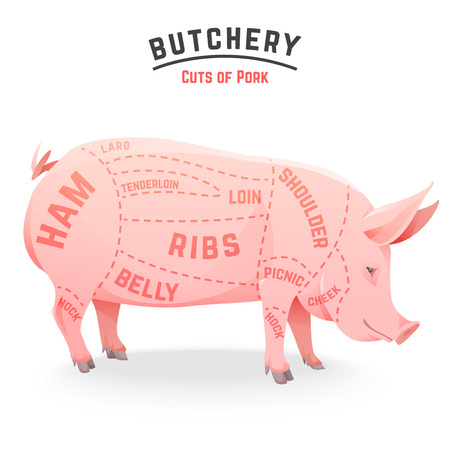 Cuts of pork with color pig. Vector Illustrationのイラスト素材
