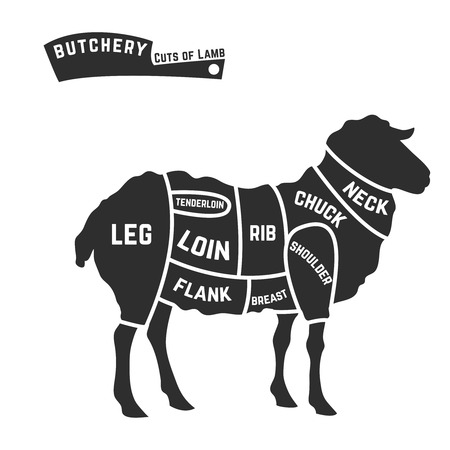 Lamb or mutton cuts diagram. Butcher shop. Vector illustrationのイラスト素材