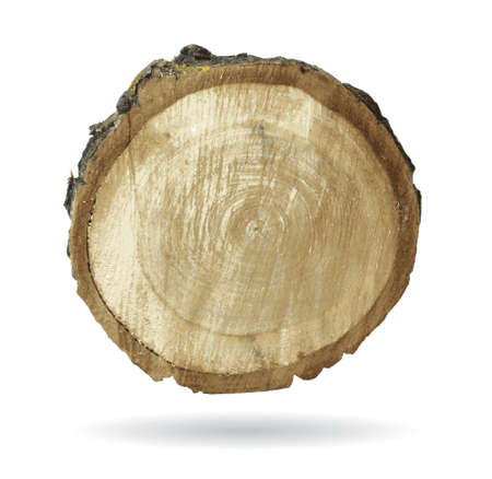 Old textured wood objects isolated on white background. Color vector illustration.のイラスト素材