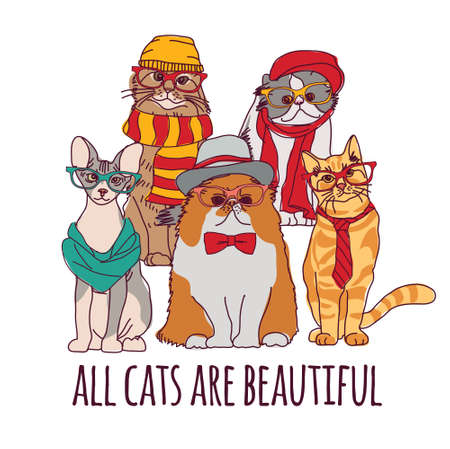 Group fashion pets hipster cats and sign isolate white.のイラスト素材