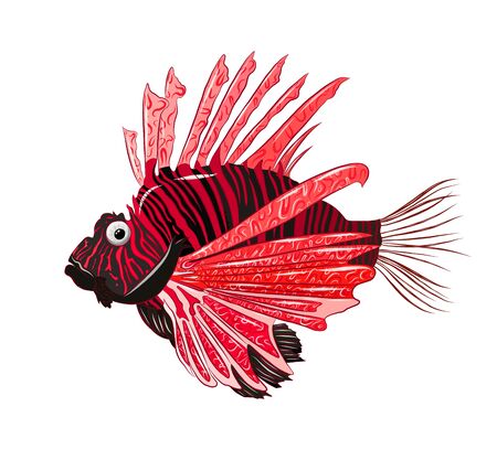 sea lion fish black redのイラスト素材