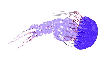 beautiful blue sea jellyfish with spotsのイラスト素材