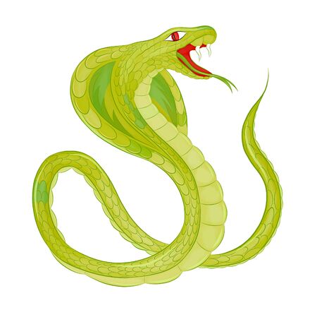 spectacled Cobra green with red eye vectorのイラスト素材