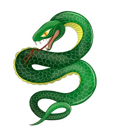 snake green poisonous fantastic evilのイラスト素材
