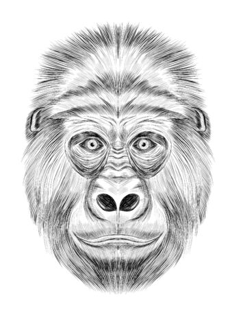 funny gorilla black and white sketch coloring book