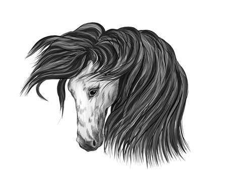 horse head of a black white mane sketch vector illustrationのイラスト素材